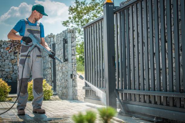 Best House Exterior Washing  in Shackle Island, TN