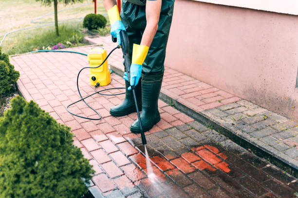 Spring Cleaning in Shackle Island, TN