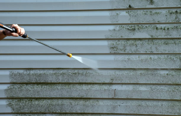 Best Sidewalk and Walkway Cleaning  in Shackle Island, TN